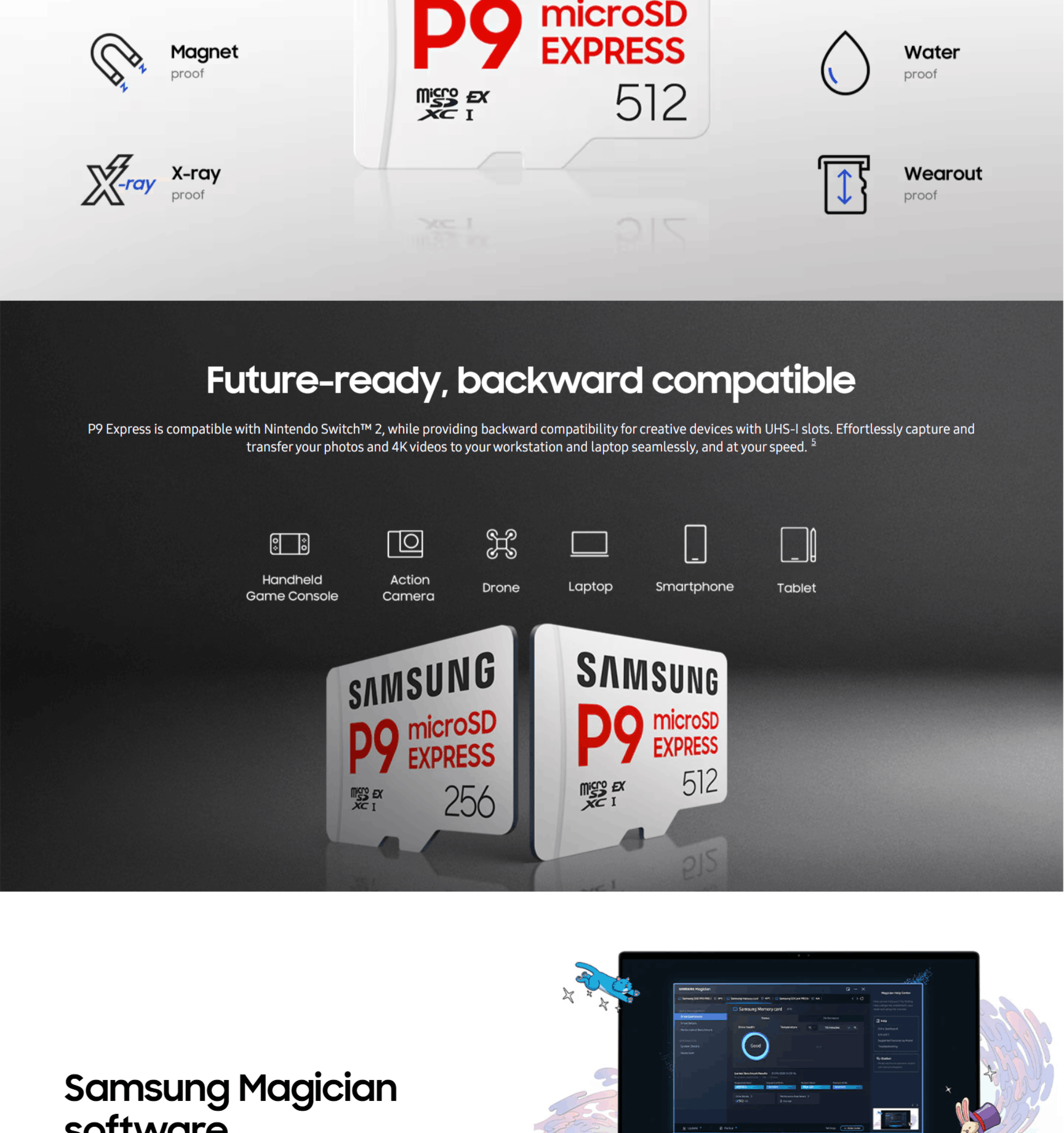 MMC-SSGMBMK256TWW04.png (532 KB)